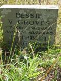 image number Groves Bessie V  313